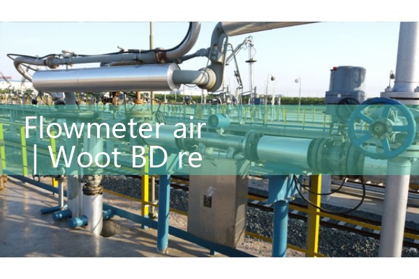 flowmeter air